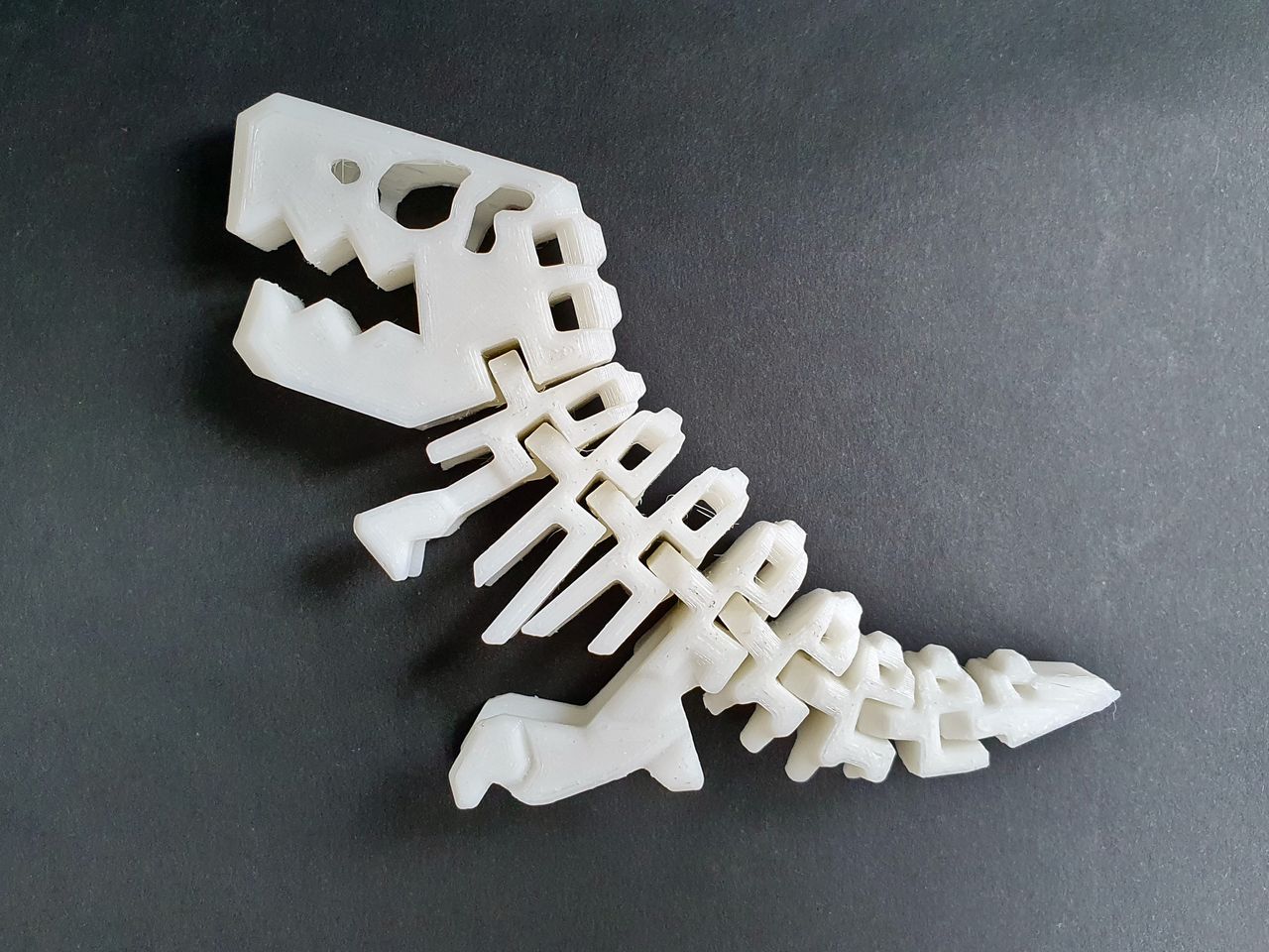 Flexi Rex csontváz